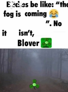 bf0dznNW.jpg