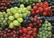 Урожай фруктов / Abundant Harvest of Fruit MEH2VA_t