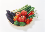 Сезонные овощи / Vegetables in Season MEH1CI_t