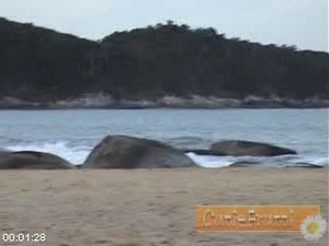 [Image: ME129ZUO_t.jpg]