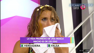 Mica.Viciconte.Huevos.Combate.1080P-ColitazTV.110.jpeg