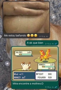 pTqulytK.jpg