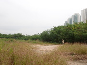 Hiking Tin Shui Wai 2023 July - 頁 2 MEPR0ID_t