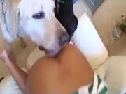 [Image: ME172HBX_t.png]