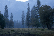 Йосемитская долина / Yosemite Valley MEJQCV_t