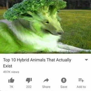 8rroZ7jx.jpg