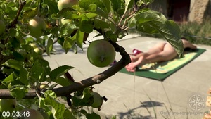 [Image: ME14KNCP_t.jpg]