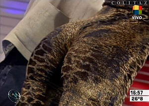 Colitaz-Nazarena.Velez.Catsuit.Leopardo.Vueltita.Intrusos.HQ.60FPS.61.jpeg