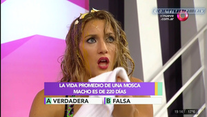 Mica.Viciconte.Huevos.Combate.1080P-ColitazTV.113.jpeg