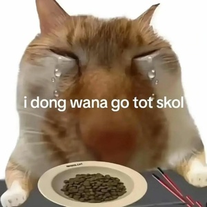 Othe6J8P.jpg