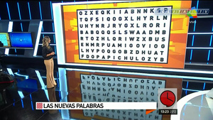 Carolina.Losada.Pantalon.Ajustado.Crucigrama.TCAM.1080P-ColitazTV.31.jpeg