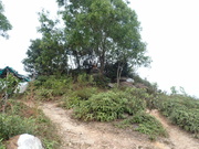 Hiking Tin Shui Wai 2023 July - 頁 3 MEQLKGS_t