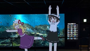 TElmHWlr.jpg