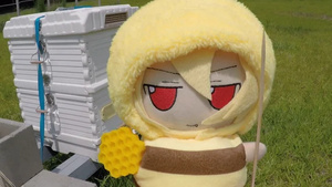 bV4GCLET.jpg