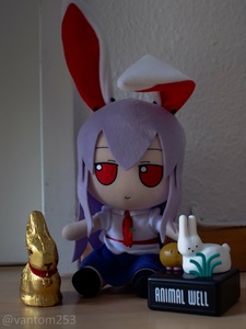 8KnWnWgP.jpg