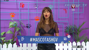 Solange.Abraham.Hoy.Ganas.Vos.Transparencia.Pezones.1080P.Ver.Orig.ColitazTV.24.jpeg