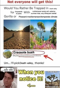 XuT6F9Z3.jpg
