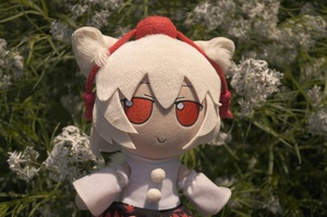 1GU7MOM4.jpg