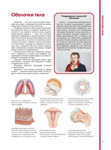 Атлас анатомии человека в 5 книгах (DjVu, PDF)