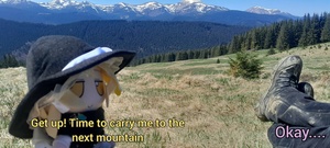 AVMznq1v.jpg
