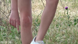 [Image: ME14KNCE_t.jpg]