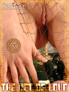 [Image: ME12DWCR_t.jpg]