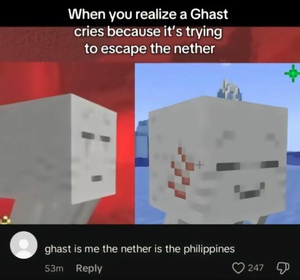 bagUJeLu.jpg