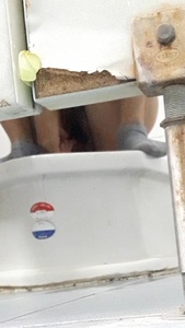 มัธยม 1.mp4_snapshot_00.03.833.jpg