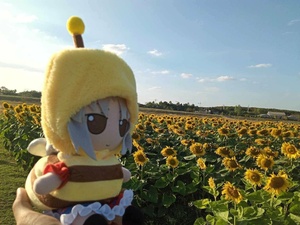 odYlOxVf.jpg