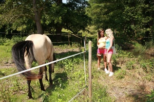 Permanent Link to Teen Dreams 11550