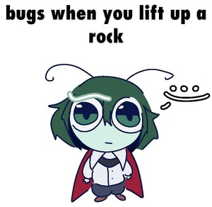 xWnYnddy.jpg