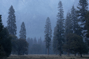Йосемитская долина / Yosemite Valley MEJQD0_t