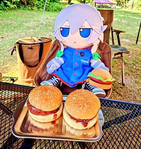 K40cusHc.jpg