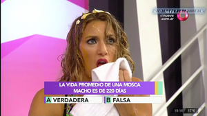 Mica.Viciconte.Huevos.Combate.1080P-ColitazTV.111.jpeg