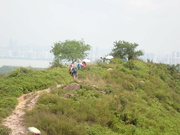 Hiking Tin Shui Wai 2023 July - 頁 2 MEP82DD_t