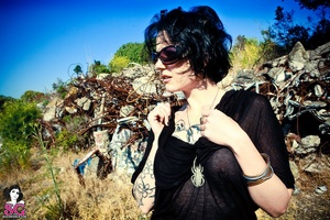 Permanent Link to 2009 06 Nixon