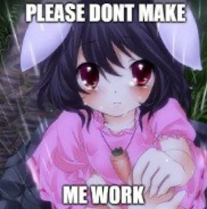 hJhQlTGW.jpg