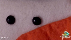 [Image: ME12A4RE_t.jpg]