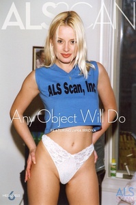 Permanent Link to 2008 02 13 ANY OBJECT WILL DO JANA IRROVA