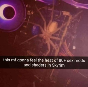 41kSvTOL.jpg
