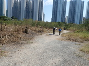 Hiking Tin Shui Wai 2024 MERZA4V_t