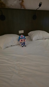 McRT449Z.jpg