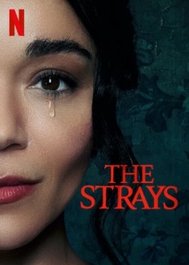 The Strays 2023 German DL EAC3 1080p NF WEB H264-PS