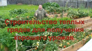 Портфель огородника томатоведа (Видеокурс)