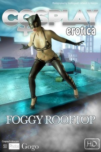 Permanent Link to Gogo – Foggy Rooftop