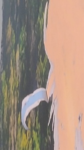 qYCdjo4R.jpg