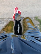 [Bild: ME13JQR0_t.jpg]