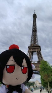 9fcogf7J.jpg