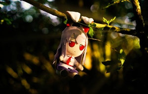 sBiEp97W.jpg