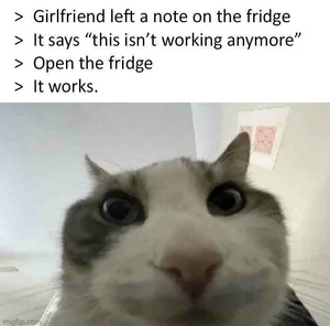 5YJQO8EF.jpg